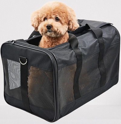 Frontier Airlines Pet Carrier Dimensions