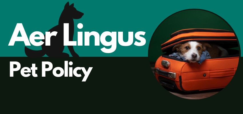 Aer Lingus Pet Policy