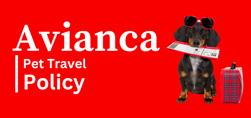 Avianca Pet Travel Policy