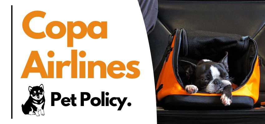 Copa Airlines Pet Policy - Airlinespolicy