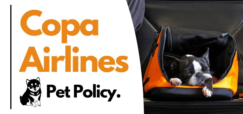 Copa Airlines Pet Policy