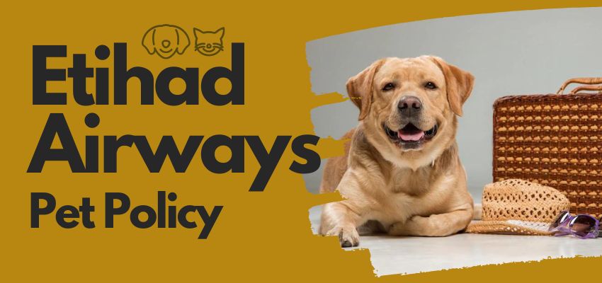 Etihad Airways Pet Policy
