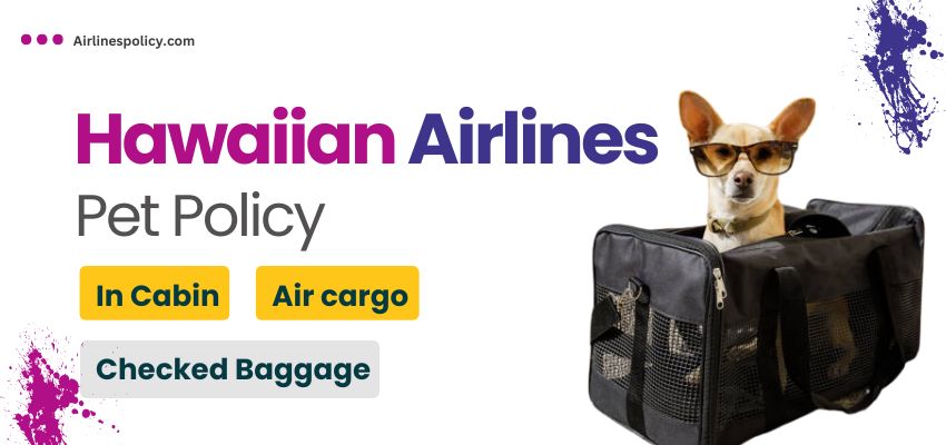 Hawaiian Airlines In Cabin Pet Policy