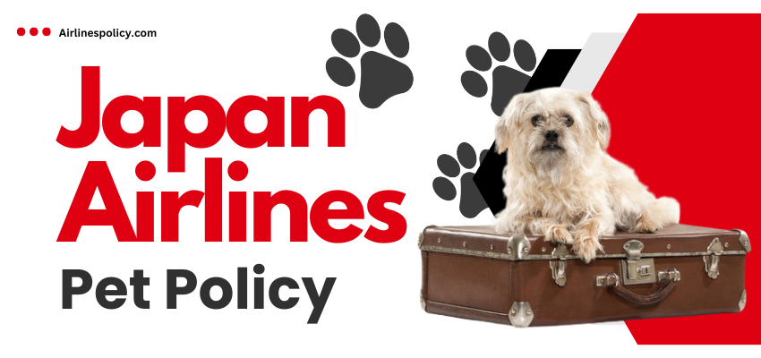 Japan Airlines Pet Policy