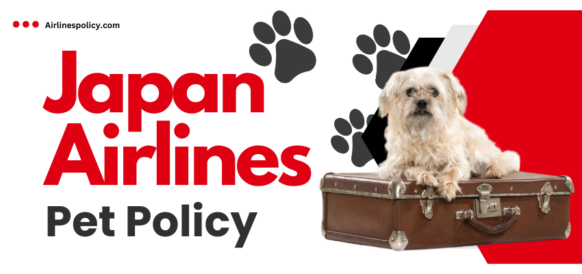 Japan Airlines Pet Policy - AirlinesPolicy