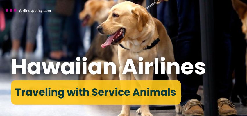 Traveling with Service Animals along with Hawaiian Airlines