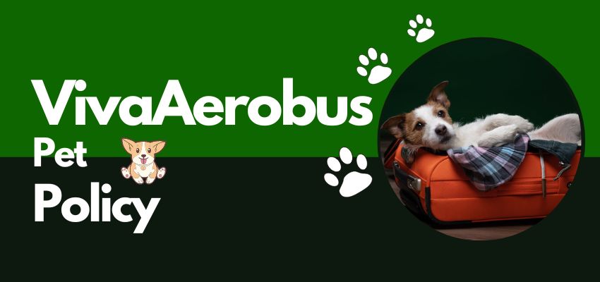 VivaAerobus Pets In Cabin Allowance