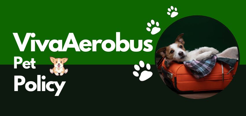 VivaAerobus Pet Policy