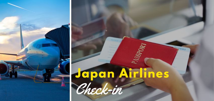 Japan Airlines check in