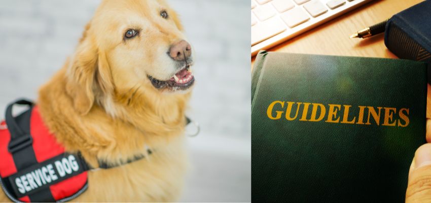 Eva Air service dog guidelines
