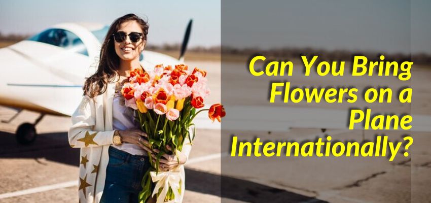 can you bring flowers on a plane internationally
