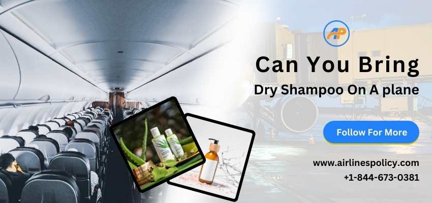 Can you bring dry shampoo on a plane, Airlinespolicy