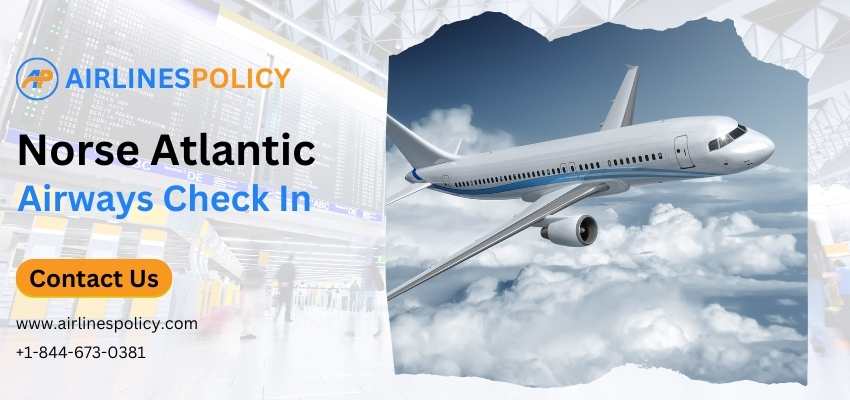 Norse Atlantic Airways Check In Online, Time, Flight
