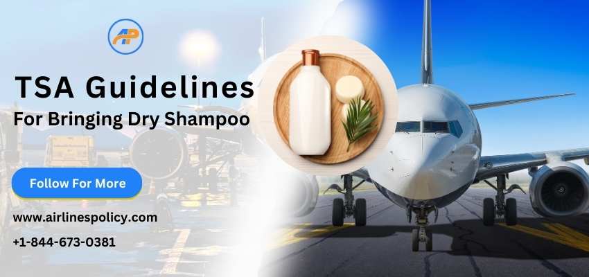 TSA Guidelines for bringing Dry Shampoo in your checked luggage, Can you bring dry shampoo on a plane, Airlinespolicy